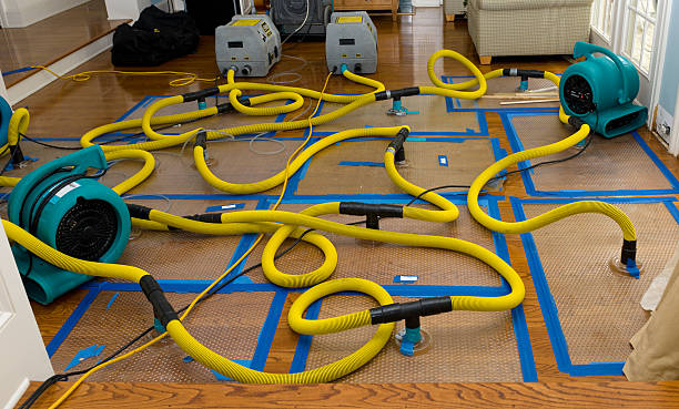 Professional Crawl Space Water Removal technician working in Sunset, LA